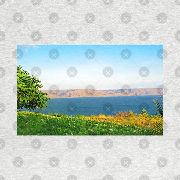 Sea of Galilee Israel by lauradyoung